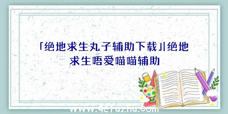 「绝地求生丸子辅助下载」|绝地求生唔爱喵喵辅助